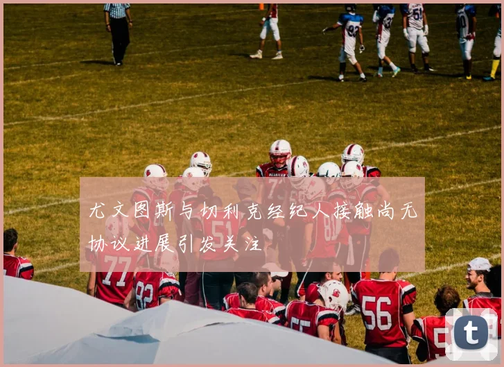 尤文图斯与切利克经纪人接触尚无协议进展引发关注