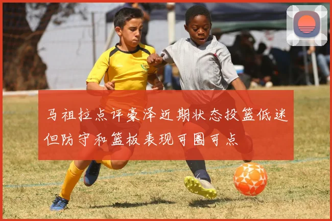 马祖拉点评豪泽近期状态投篮低迷但防守和篮板表现可圈可点