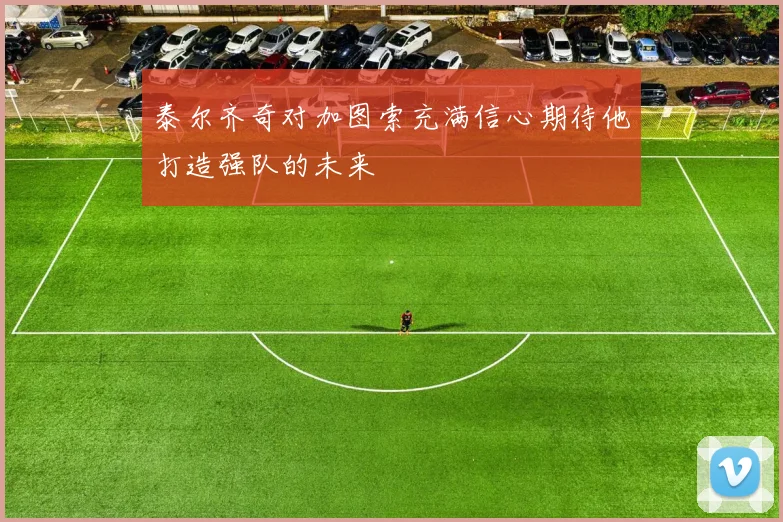泰尔齐奇对加图索充满信心期待他打造强队的未来